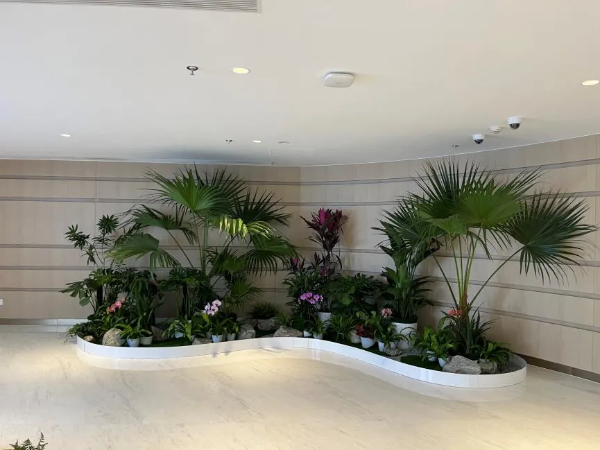 揭秘镇海绿化养护公司的高效养护秘诀